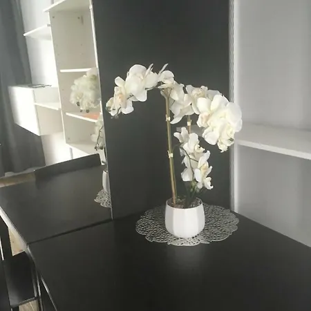 Апартаменты Apartament Serafitek 6 Познань